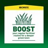 Ironite Pennington AllPurpose Lawn Fertilizer For All Grasses 5000 sq ft 100544883